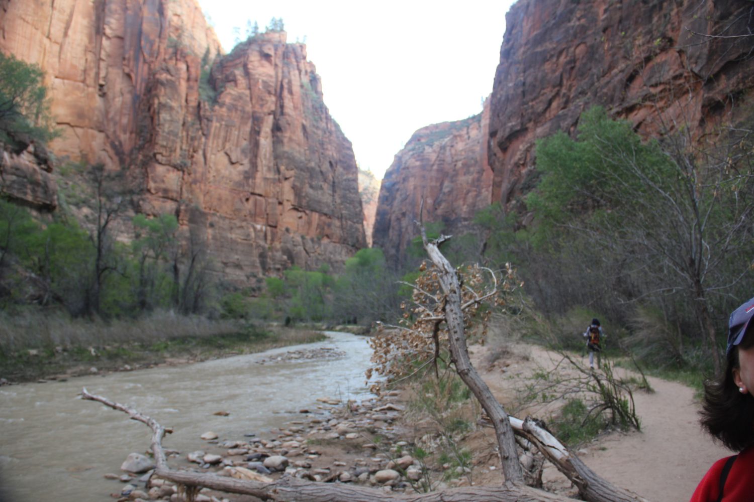 Riverside Walk Trail 